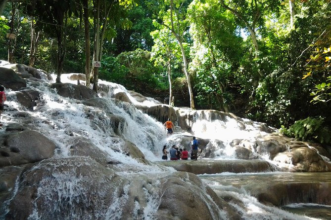 Falmouth Shore Excursion Dunn's River Falls - Key points before you book