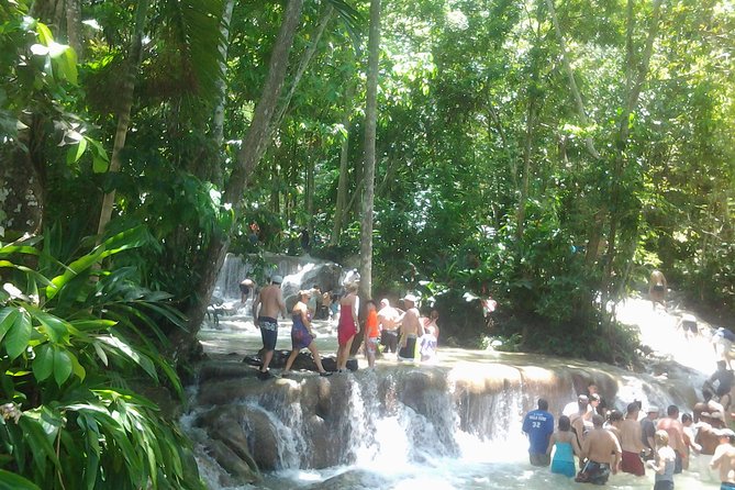 Falmouth Shore Excursion Dunn's River Falls - Who will enjoy this half-day outing