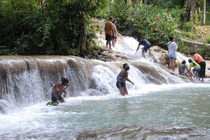 Falmouth Shore Excursion: Dunns River Falls and River Tubing Tour - Key points to know before you book