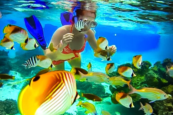 Family Fun-Snorkeling with Lunch Stop from Montego Bay - Pickup, private transport, and the first part of the day