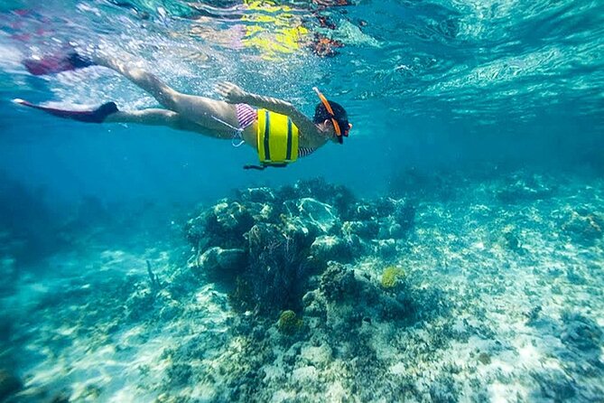 Family Fun-Snorkeling with Lunch Stop from Montego Bay - About one hour among fish and coral