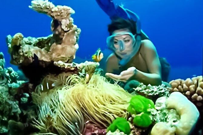 Family Fun-Snorkeling with Lunch Stop from Montego Bay - Is $110 a fair price?