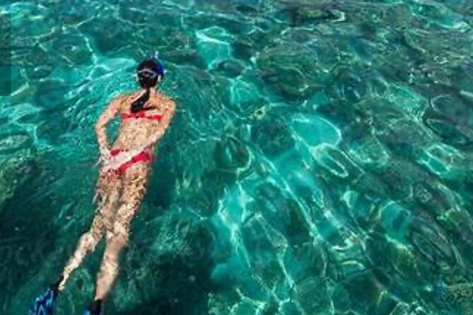 Family Fun-Snorkeling with Lunch Stop from Montego Bay - Who will enjoy this most?