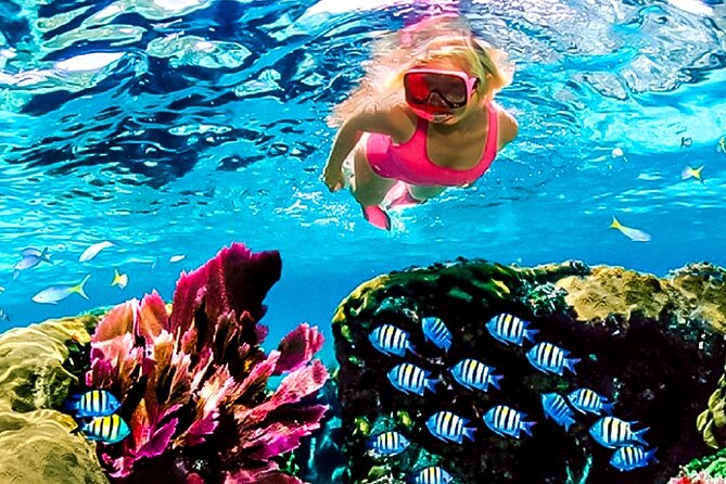 Family Fun-Snorkeling with Lunch Stop from Montego Bay - The speedboat ride to the reef