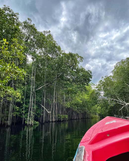 Floyd’s Pelican Bar, Ys Falls and Black River Safari Tour - Private Transportation and the Randy Difference