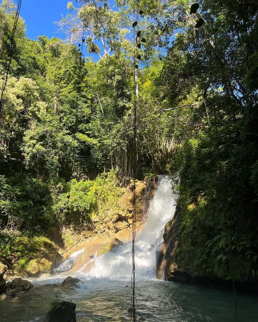 Floyd’s Pelican Bar, Ys Falls and Black River Safari Tour - Is $253 Per Person Good Value?