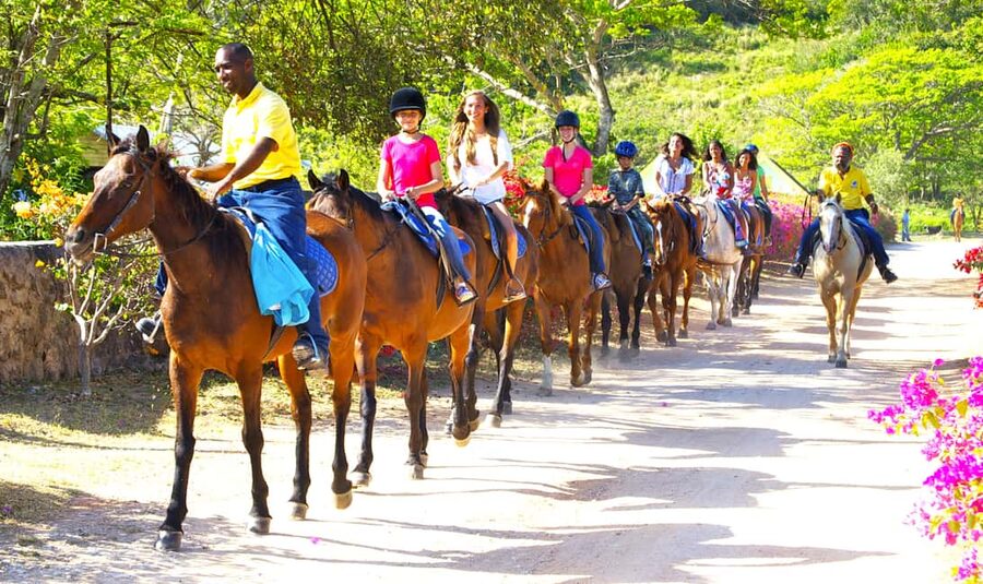 From Falmouth: Horseback Ride and Swim Beach Trip - Who will enjoy this horseback trip most?