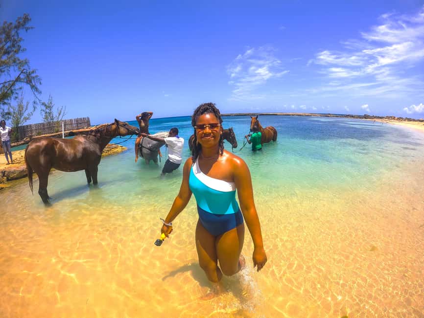 From Falmouth: Horseback Ride and Swim Beach Trip - Meeting the horses at Sand N Saddle beach