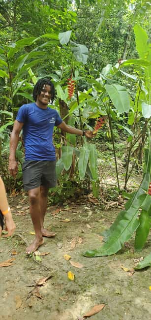 From Montego Bay: Blue Hole Waterfall Experience - How the guides shape the experience