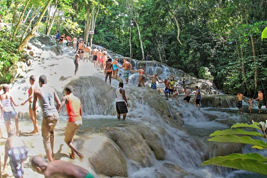 From Montego Bay: Dunn’s River Falls Experience - Key Points at a Glance