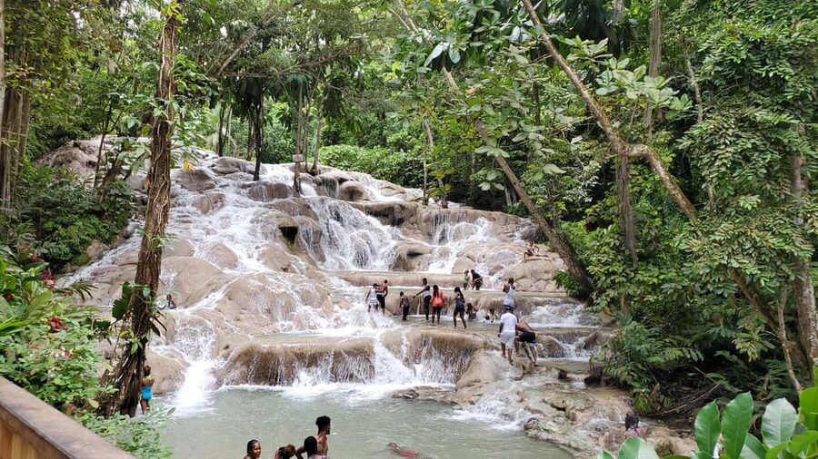 From Montego Bay: Dunn’s River Falls Experience - Who Will Get the Most from This Trip?