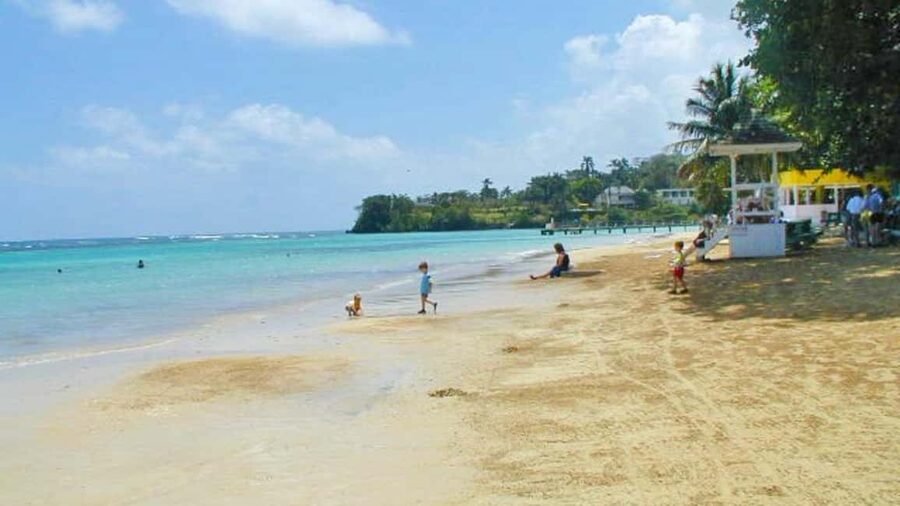 From Montego Bay: Dunn’s River Falls Experience - Dunn’s River Falls from Montego Bay: The Basic Picture
