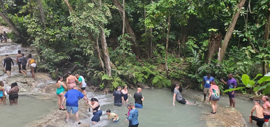 From Montego Bay: Dunn’s River Falls Experience - Gardens, Facilities, and Extra Stops