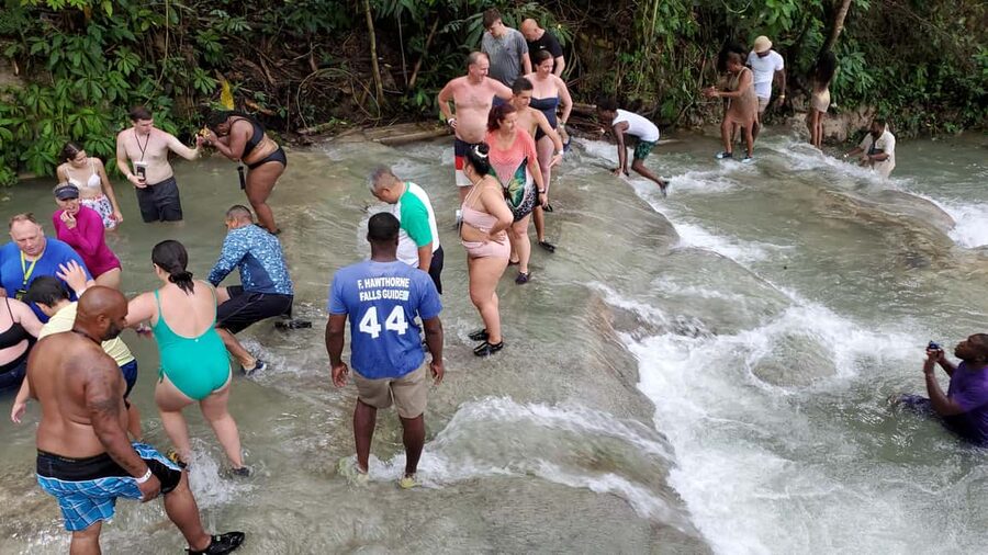 From Montego Bay: Dunn’s River Falls Experience - Private Service and the Driver Experience
