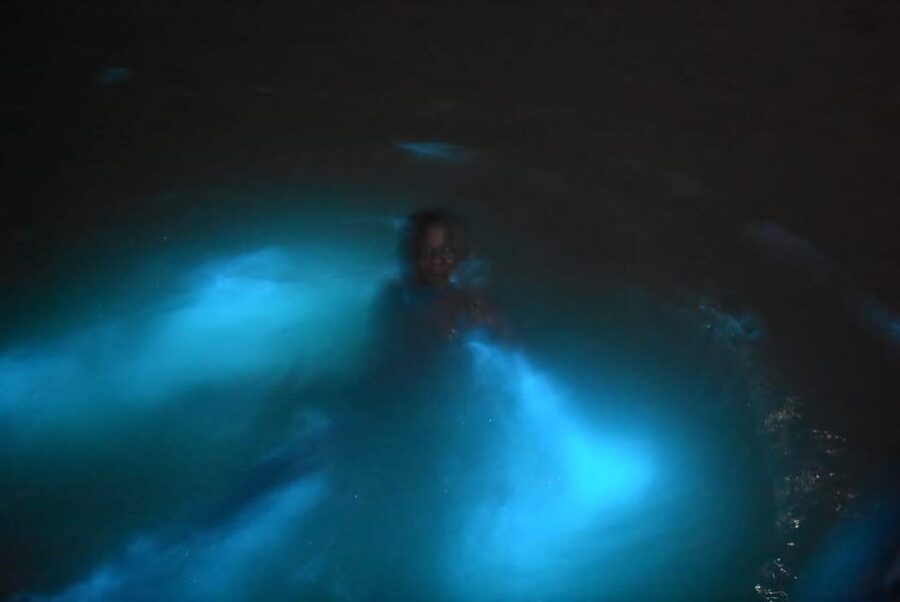 From Montego Bay: Luminous Lagoon Night Tour - What to pack for a smoother visit