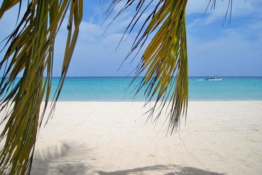 From Montego Bay: Negril Beach and Rick's Café Day Trip - Why Negril Works as a Half-Day Escape