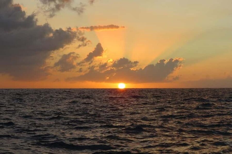 From Montego Bay: Negril Beach and Rick's Café Day Trip - Final Verdict: A Good Taste of Negril, With Limited Beach Time
