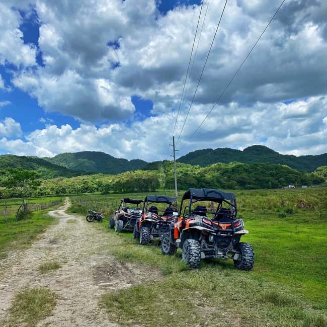From Montego Bay/Negril: RastaSafari UTV Experience - Plants, fruit, and the working countryside