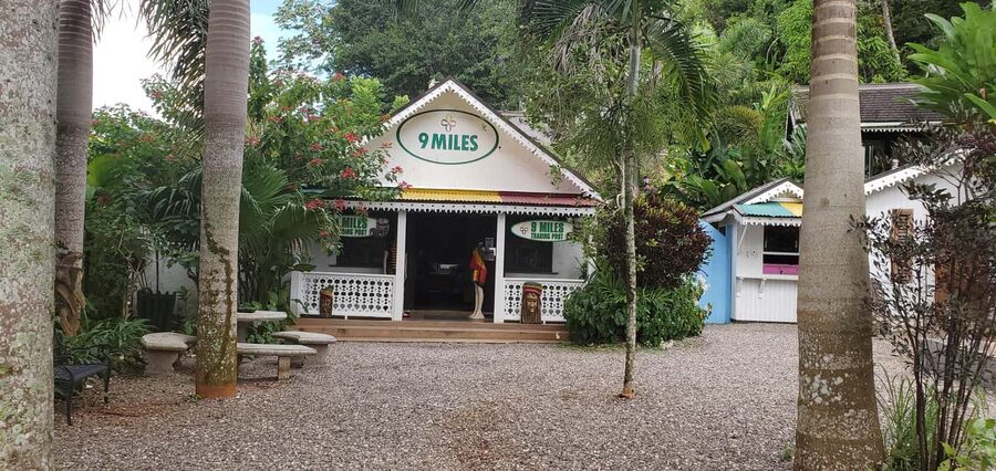 From Montego Bay: The Bob Marley Guided Tour of Nine Mile - What the $168 price really covers