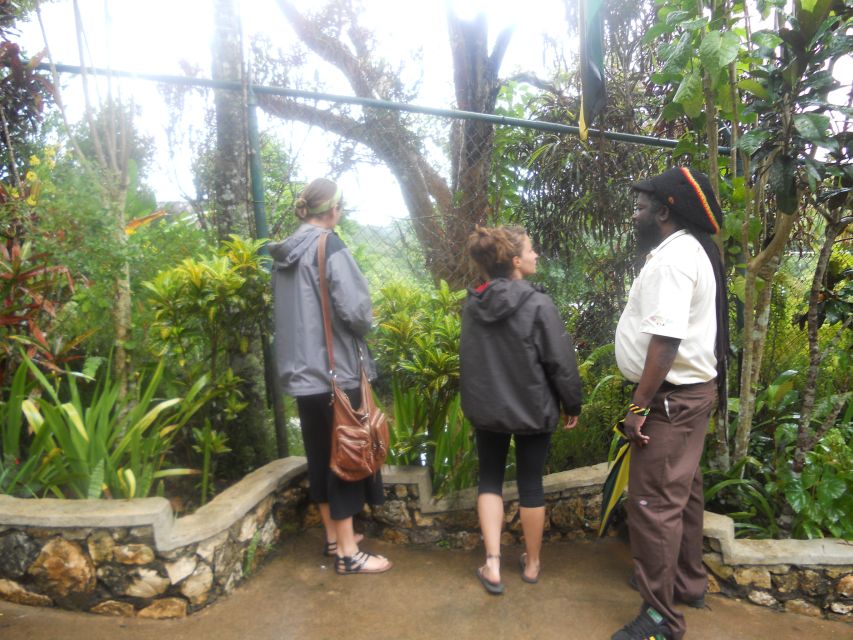 From Ocho Rios: Bob Marley & Dunn’s River Falls 6/7Hour Tour - Practical advice for a smoother day