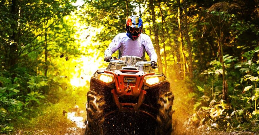 From Ocho Rios: Yaaman Adventure Park ATV Tour with Lunch - The bird aviary gives the day a softer ending