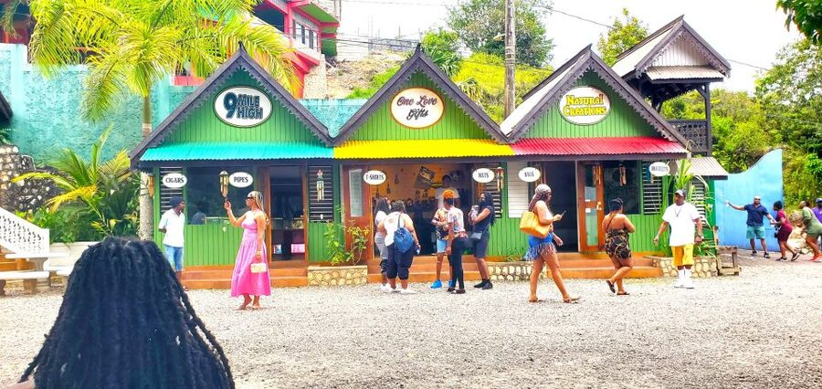 From Runaway Bay: Bob Marley Mausoleum Guided Day Trip - Who will enjoy this day trip most?