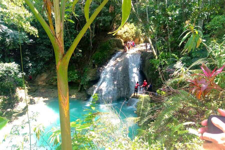 From Runaway Bay: Island Gully Falls and Blue Hole Tour - A practical look at the day