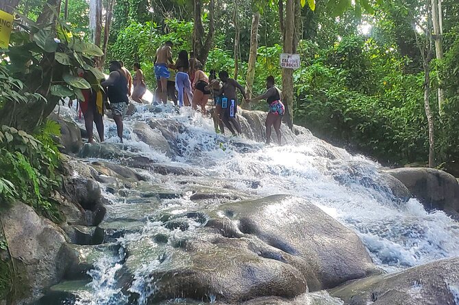 Full-Day Guided Tour to Dunns River Falls & shopping with lunch - Lunch, Shopping, and What Is Actually Included