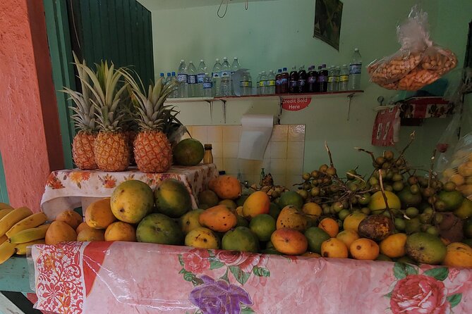 Full-Day Guided Tour to Dunns River Falls & shopping with lunch - The Value of Paying $130