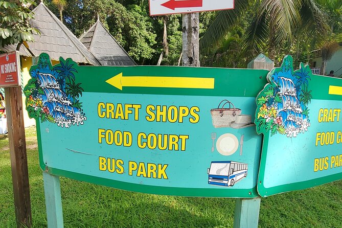 Full-Day Guided Tour to Dunns River Falls & shopping with lunch - Who Will Enjoy This Tour Most