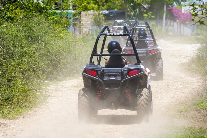Full Day Jamwest Adventure Park with Welcome Drink - How the day may feel for different types of visitors