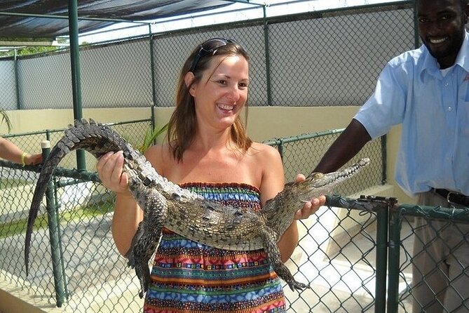 Full-Day South Coast - YS Falls, Pelican Bar & Black River Safari - Why This Three-Stop Tour Works