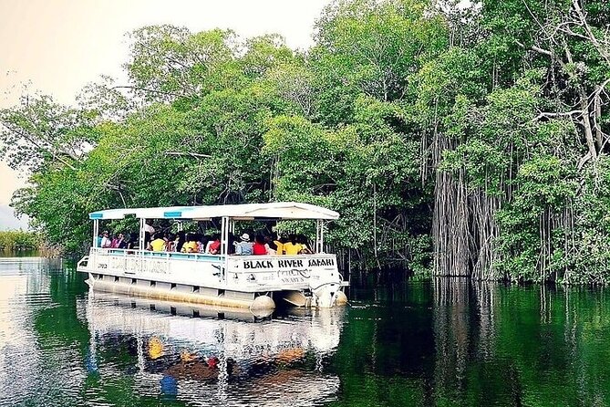 Full-Day South Coast - YS Falls, Pelican Bar & Black River Safari - Leaving Negril in an Air-Conditioned Vehicle