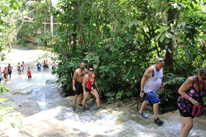 Full-Day Tour of Blue Hole and Dunn's River Falls, Including Fees - The Benefit of Having Your Own Driver