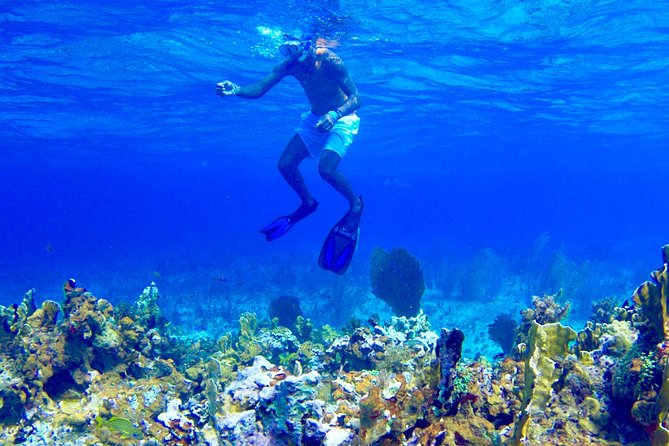 Glass Bottom Boat Ride/Snorkeling/Booby Cay Island from Negril - A short morning on Negril’s water