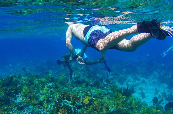 Glass Bottom Boat Ride/Snorkeling/Booby Cay Island from Negril - One hour above Negril’s coral reef