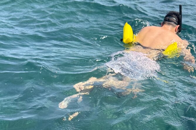 Glass bottom Boat Tour and Snorkeling Experience in Montego Bay - What this Montego Bay outing actually includes