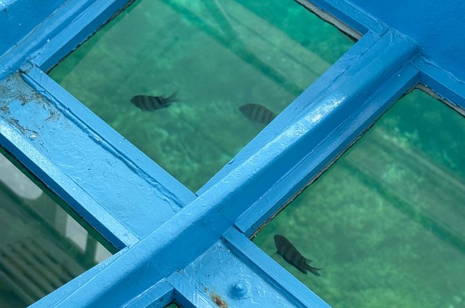 Glass bottom Boat Tour and Snorkeling Experience in Montego Bay - Why the private group format matters