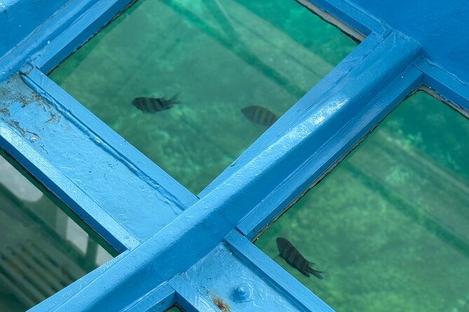 Glass bottom Boat Tour and Snorkeling Experience in Montego Bay - Is $110 per person a fair price?