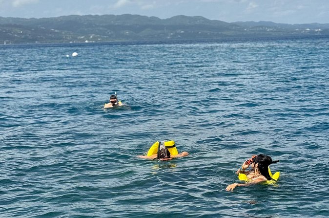 Glass bottom Boat Tour and Snorkeling Experience in Montego Bay - Who will enjoy this experience most?