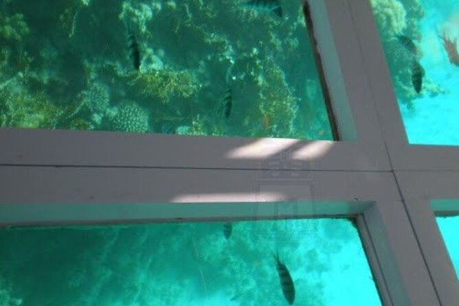Glass Bottom Boat Water Activity in Montego Bay Jamaica - Why a glass bottom boat works well in Montego Bay