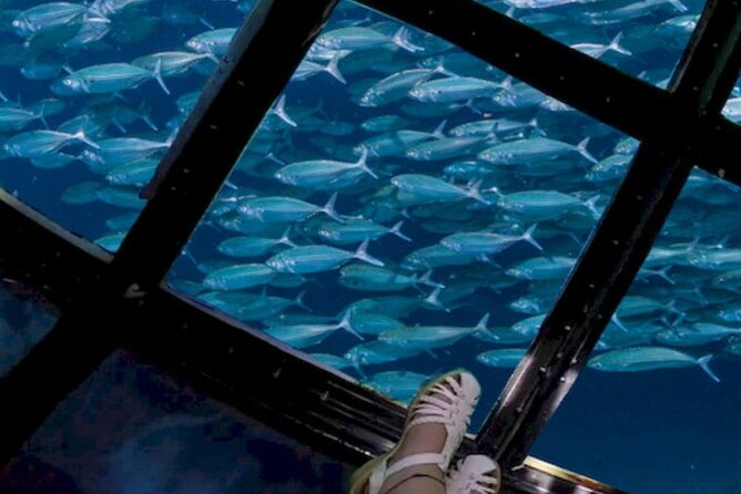 Glass Bottom Boat Water Activity in Montego Bay Jamaica - What the $90 price really includes