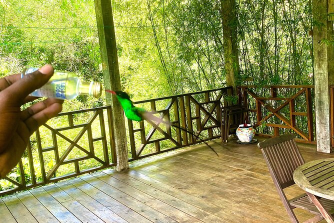 Great River Bamboo Rafting and Bird Sanctuary Combine Tour From Montego Bay - Who will enjoy this tour most