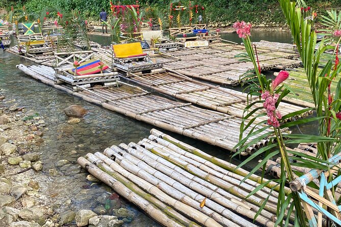 Great River Bamboo Rafting and Bird Sanctuary Combine Tour From Montego Bay - Rocklands Sanctuary and the close hummingbird view