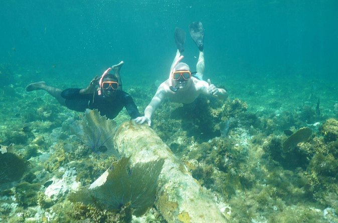 Guided Snorkeling at the Anchor and Cannon Reef in Negril - Who will enjoy Anchor and Cannon Reef most