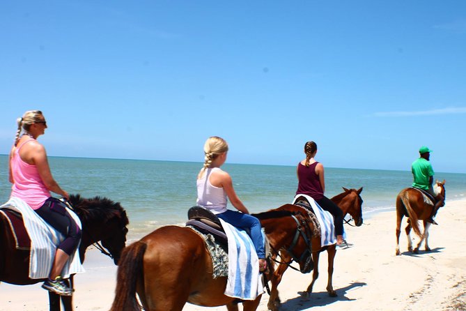 Half Day Beach Horseback Riding in Ocho Rios + Lunch - Starting at Hooves in the Ocho Rios Area