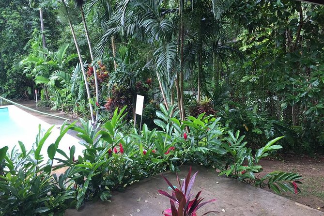 Half-Day Private Martha Brae Rafting Tour from Montego Bay - Eating jerk chicken at Scotchies Drax Hall