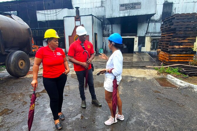 Hampden Estate Rum Tour and Lunch from Montego Bay - The distillery and ageing house: what you will learn
