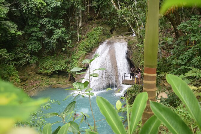 Horse Back Riding and Blue Hole From Montego Bay - Timing, fitness, and what to plan before you go