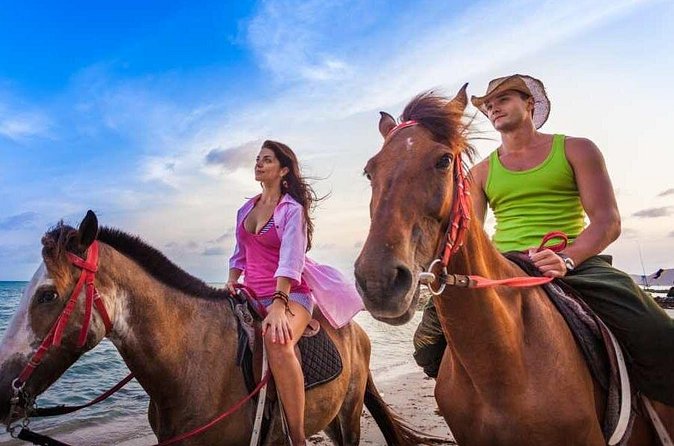 Horse Back riding Excursion - Beginner-friendly, with room for experienced riders